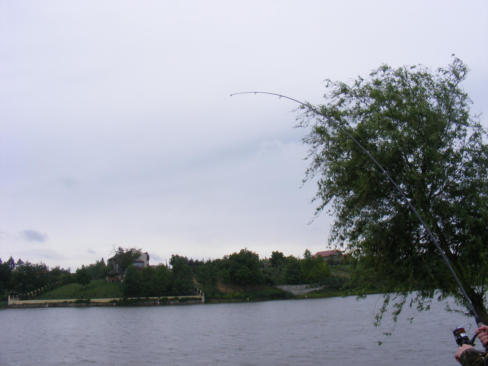 Moara Vlasiei-Dream place! - dscf1672.JPG